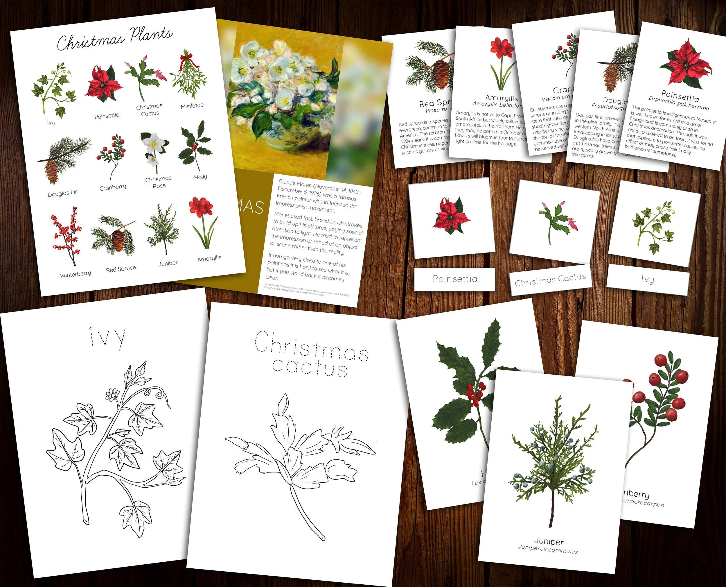 Christmas+Plants+Week+ENWC.jpg
